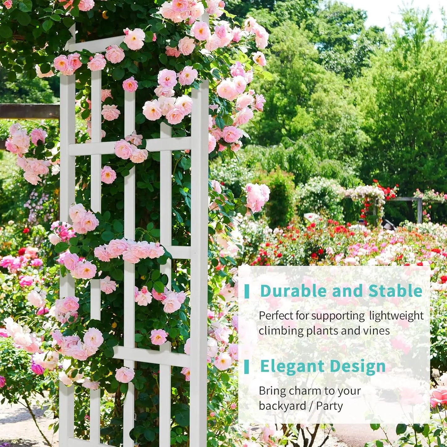 Vinyl Garden Arbor, PVC Trellis for Climbing Plants Outdoor