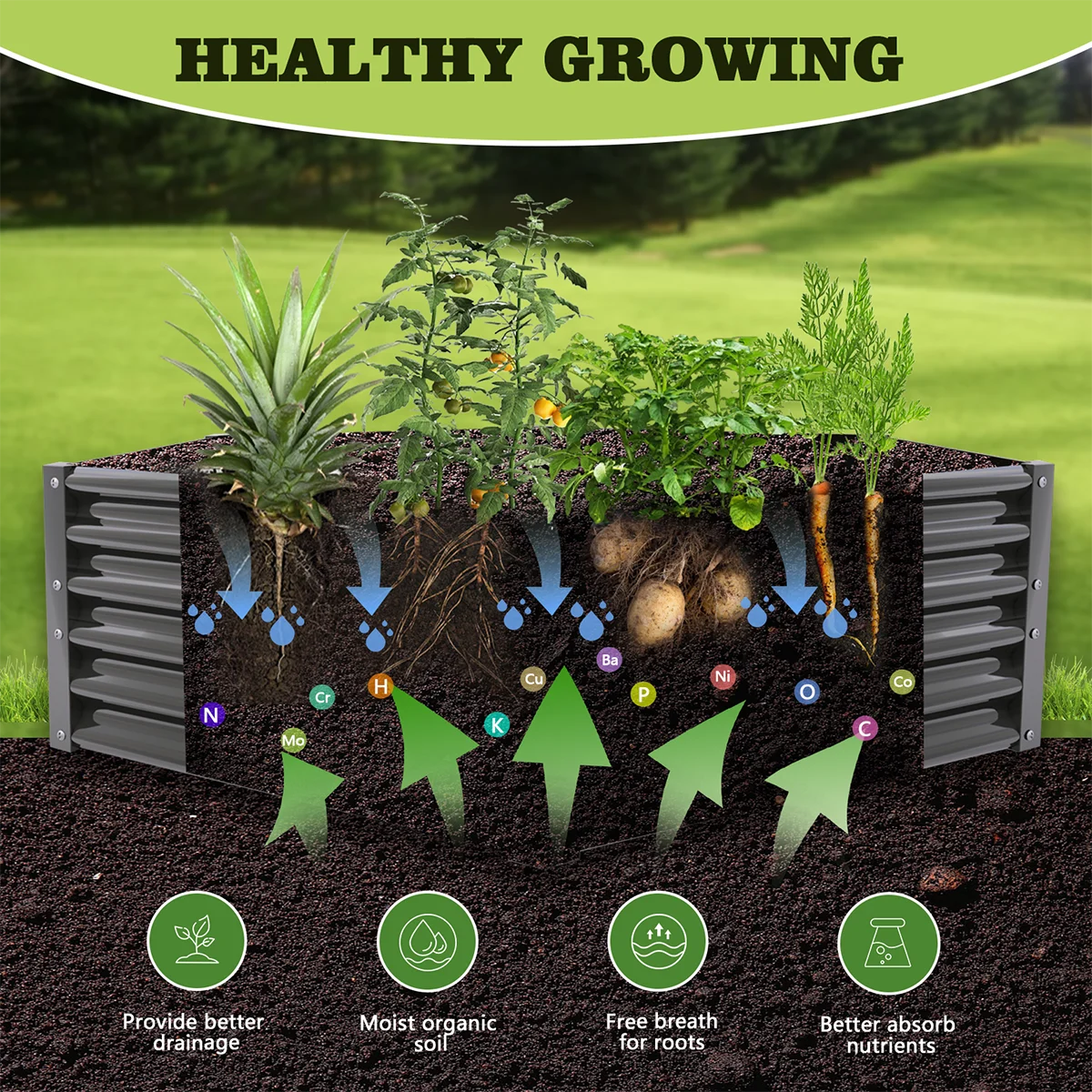 Hexagon Galvanized Raised Garden Bed Anti-Rust