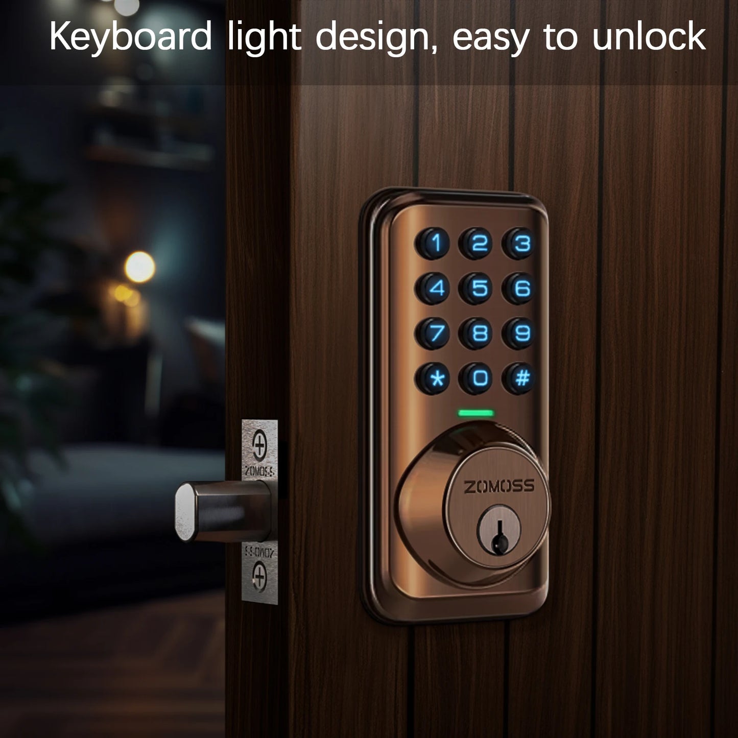 Keypad Door Lock-Keyless Entry Door Lock