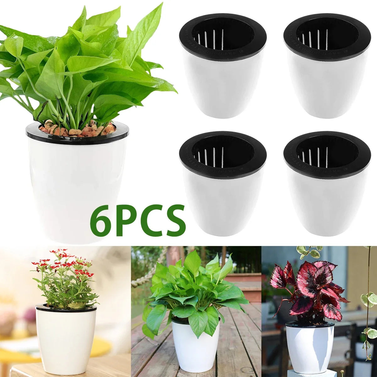 6 Self Watering Pots With Cotton Rope for Indoor Plants