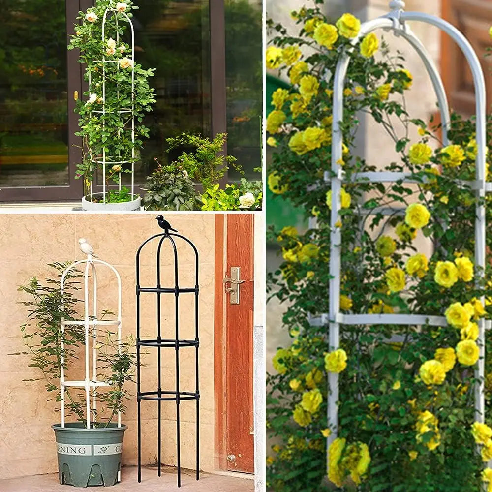 6ft Garden Trellis for Climbing Plants-Rustproof