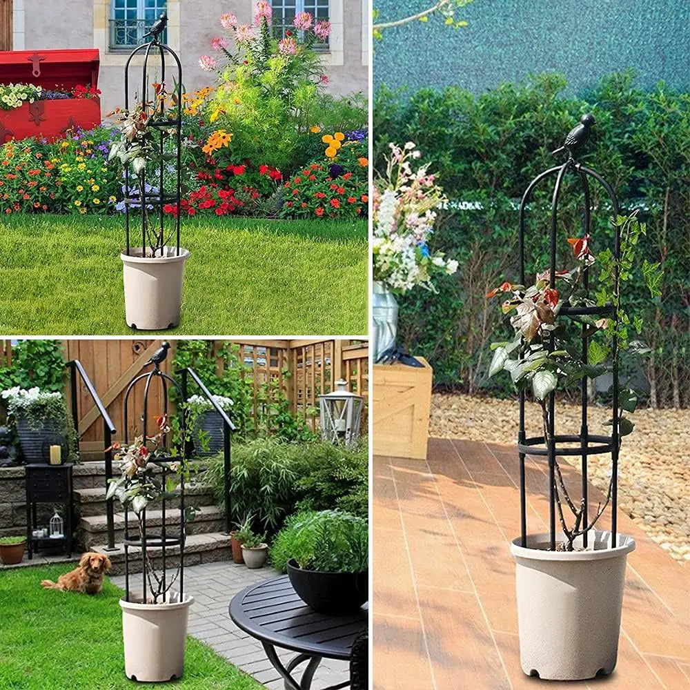 6ft Garden Trellis for Climbing Plants-Rustproof