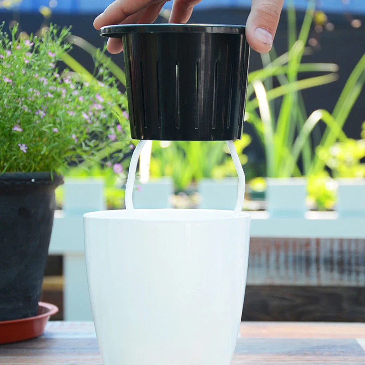 6 Self Watering Pots With Cotton Rope for Indoor Plants