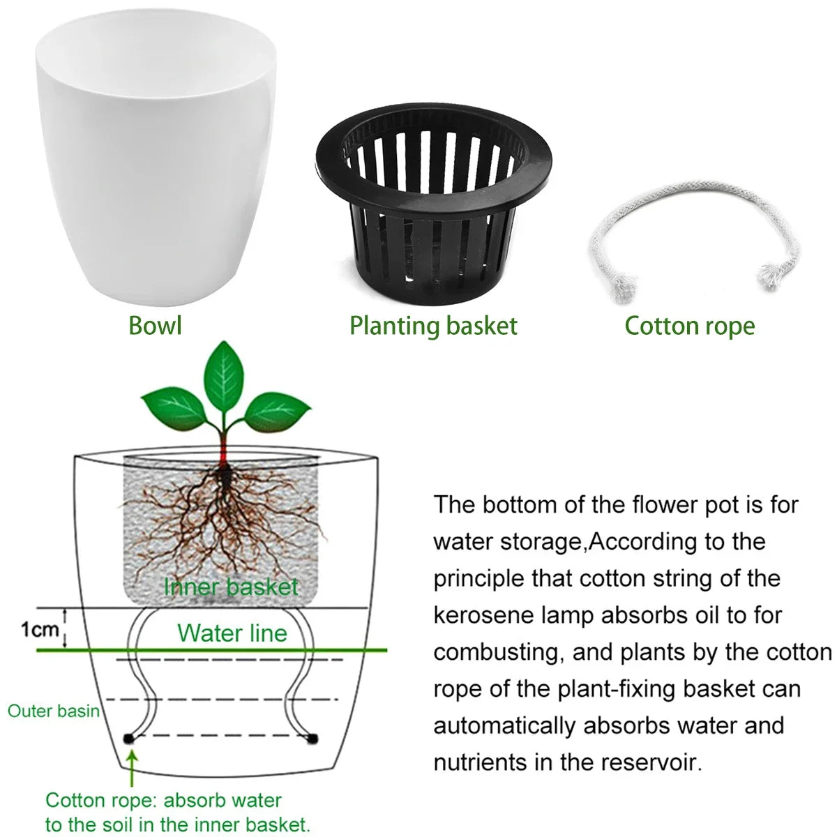 6 Self Watering Pots With Cotton Rope for Indoor Plants