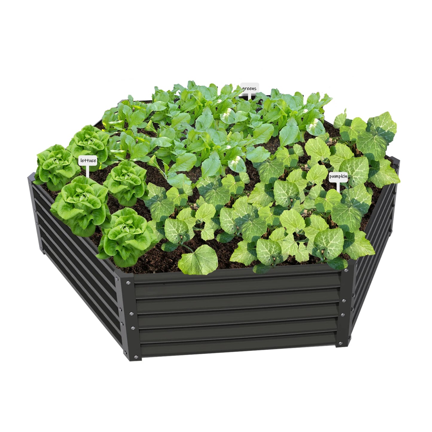 Hexagon Galvanized Raised Garden Bed Anti-Rust