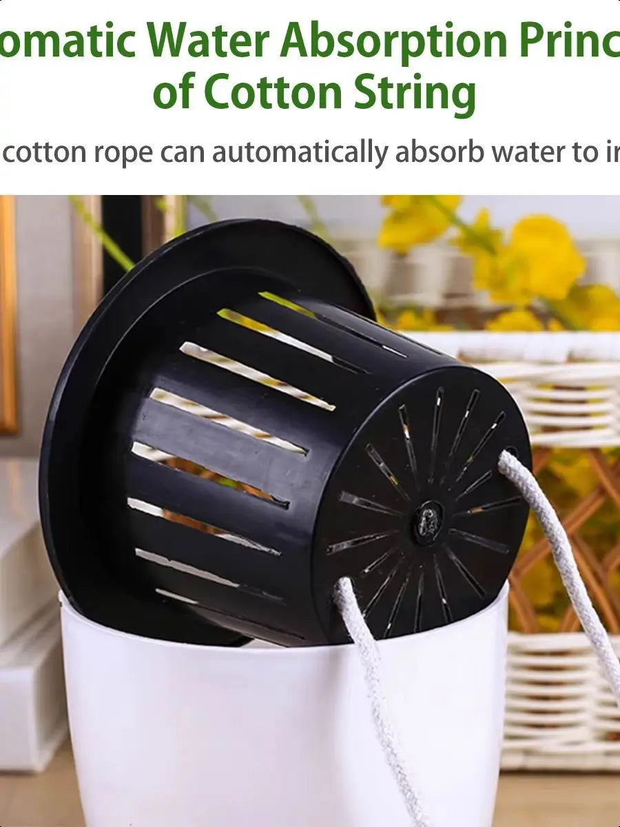 6 Self Watering Pots With Cotton Rope for Indoor Plants
